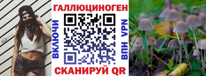 Галлюциногенные грибы Cubensis Лесной