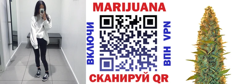 Конопля сатива  Лесной 